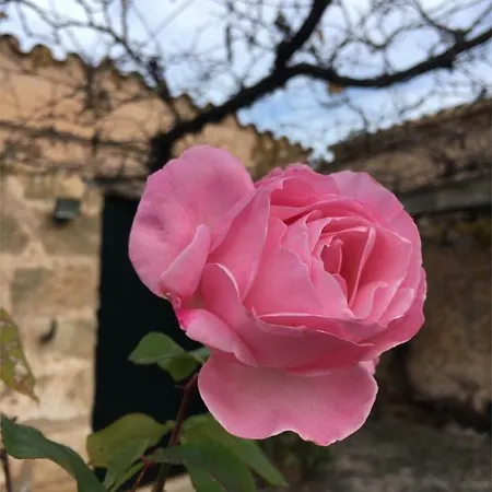 Can Bisbal Finca Am Meer * Pollenca